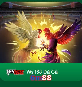 6m88
